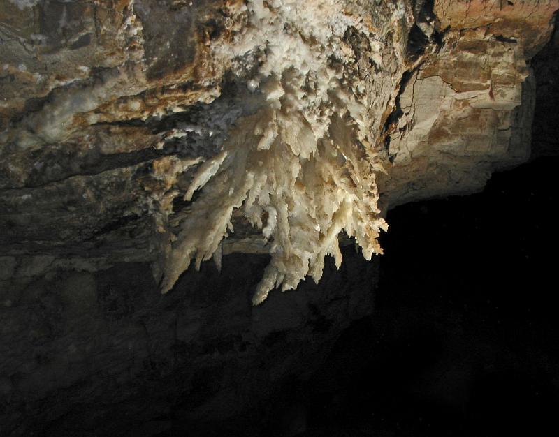 Gypsum Chandelier (6 ft) in the Second Parrallel in Cottonwood Cave