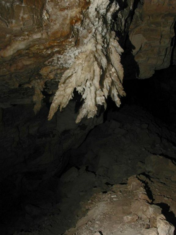 Gypsum Chandelier (6 ft) in the Second Parrallel in Cottonwood Cave