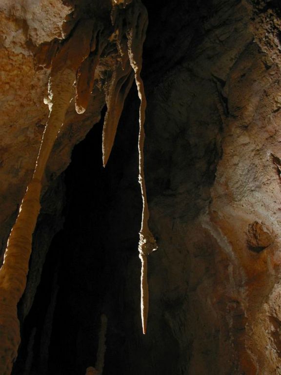 Delicate Stalactite in Aint Nothing Cave