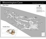 Bloomington Cave