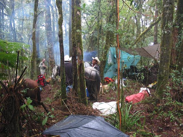 Life in the Cloud Forest Base Camp.
