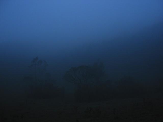 A fogggy night hiking back to camp.  Photo by Brandon Kowallis