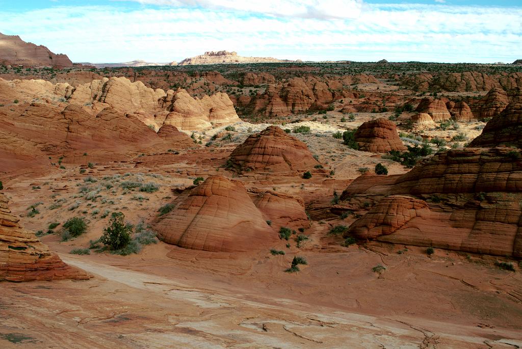 The Coyote Buttes