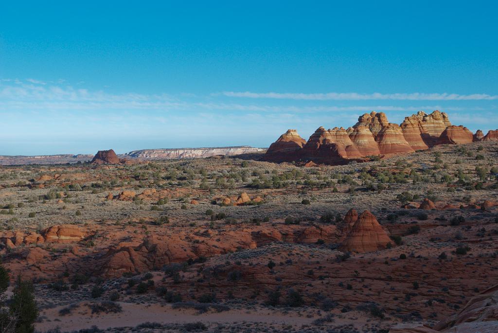 View of the Coyote Buttes area
