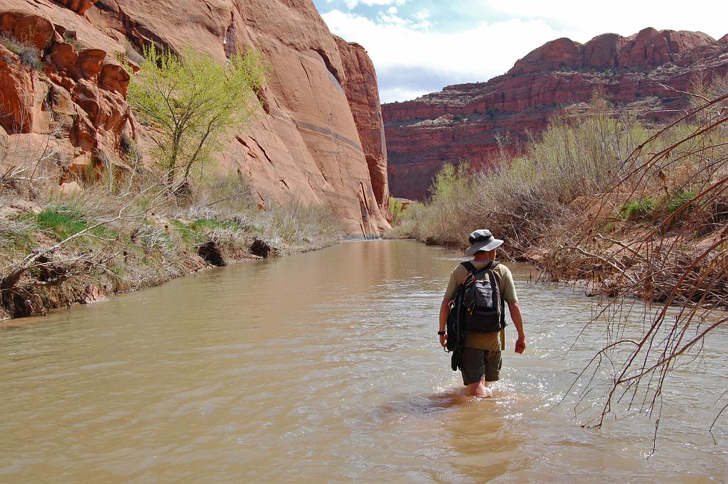 Tim Barnhart wading along the Escalante River to return to camp after Baker Canyon