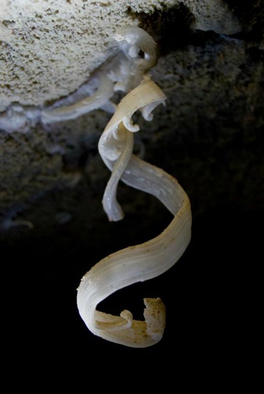 Gypsum curls in Horcruxe Cave