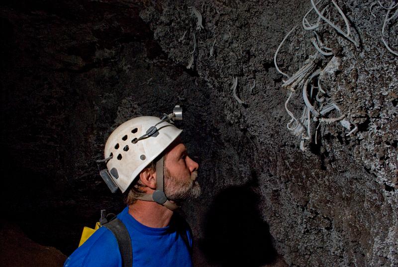 Doug Powell studying the gypsum curls in Leandras Cave