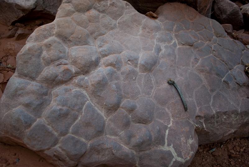 Rock with fossilized mud cracks