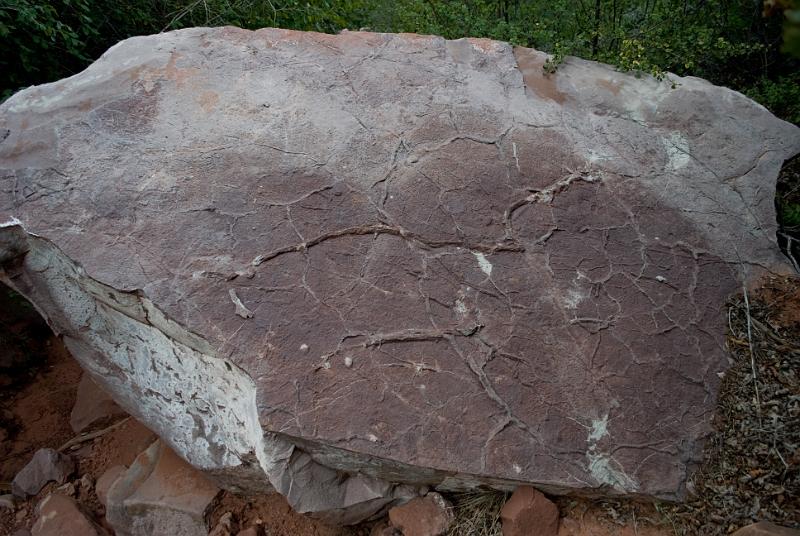 Rock with fossilized mud cracks