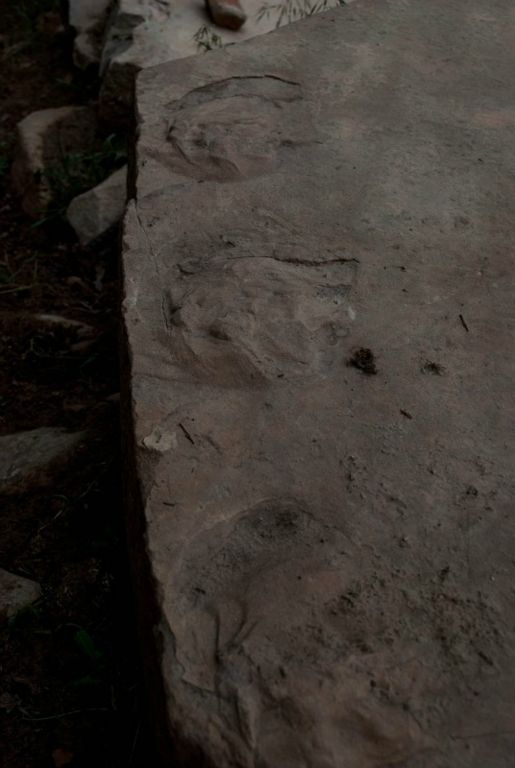 Footprints inthe Coconino Sandstone.