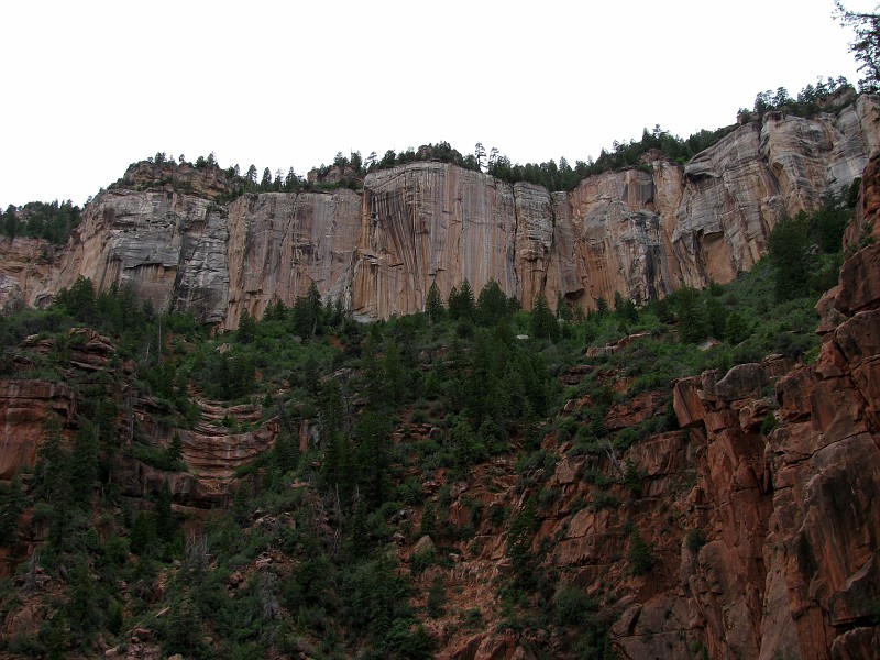 Coconino Sandstone cliffs near the top of the Grand Canyon.  Photo by Janel Macy.