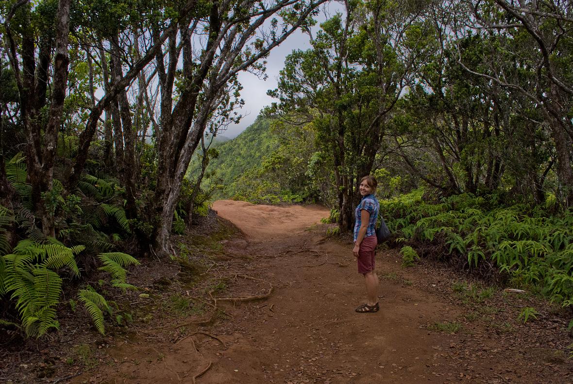 Janel walking Pihea Trail.