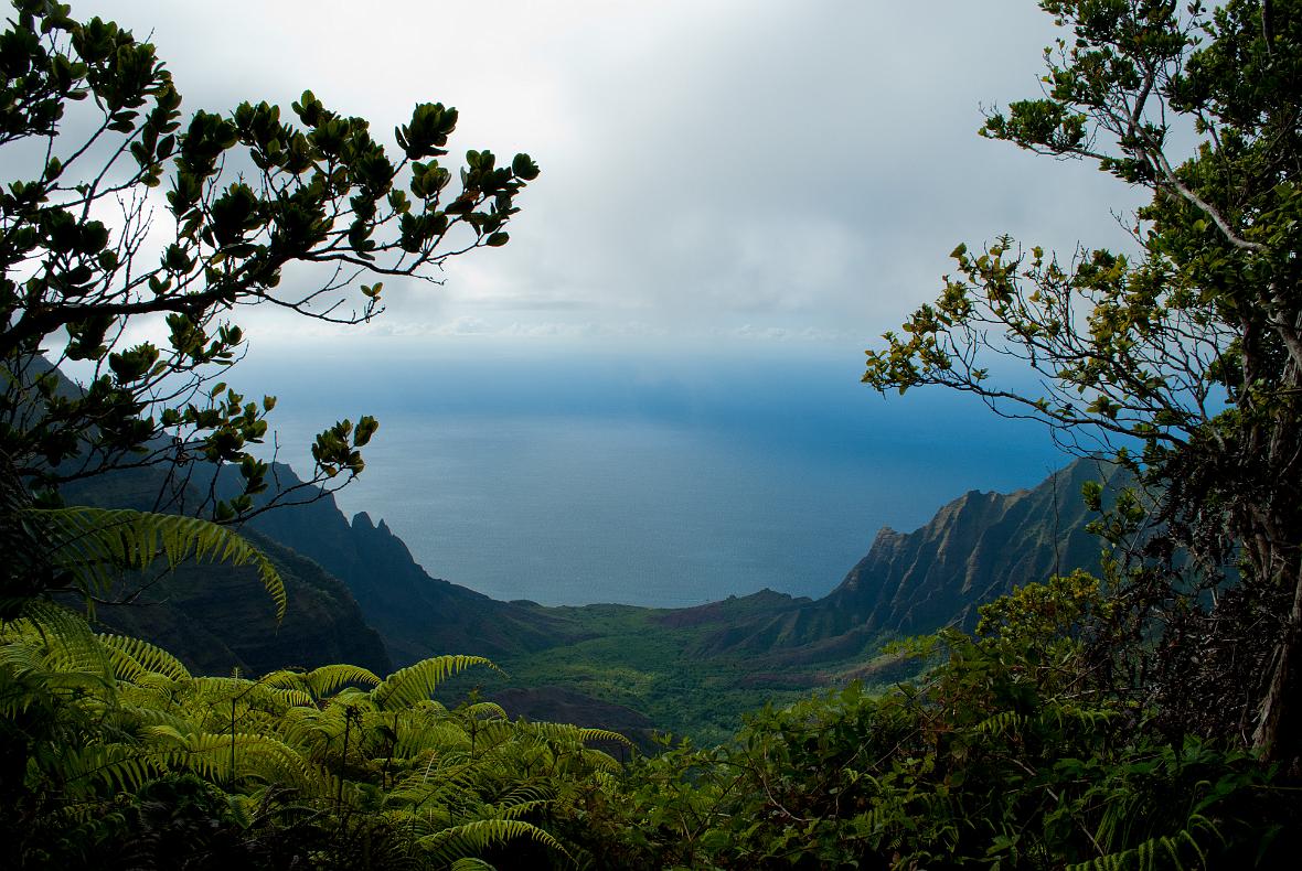 Viewing the Kalalau Valley of the Na Pali coast from the Pihea Trail.