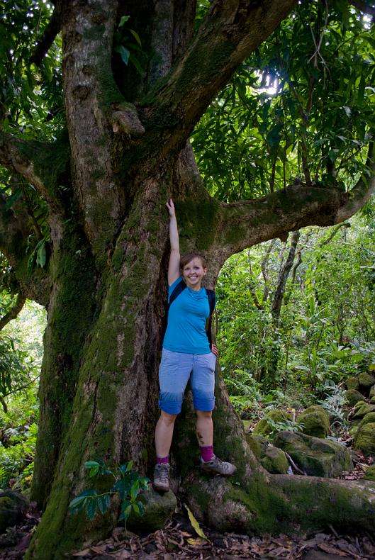 Janel Macy in front of a huge Avacado Tree.