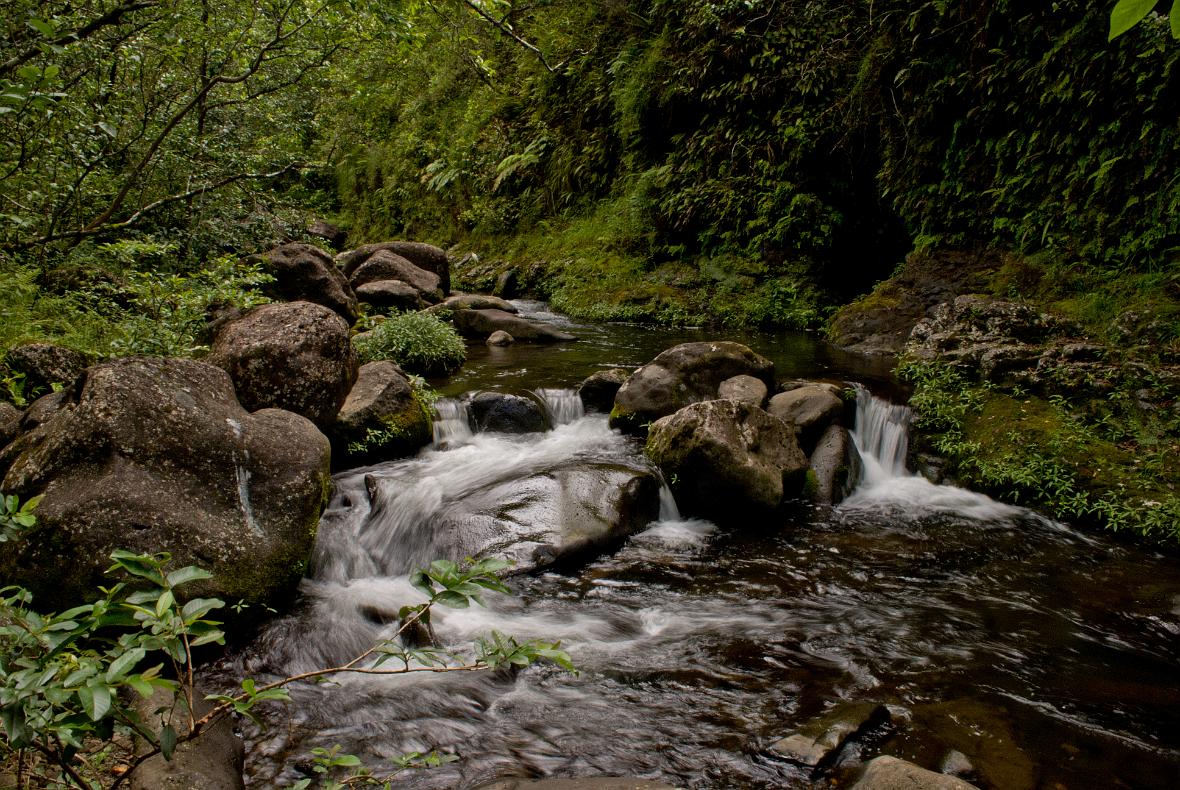 Stream in Hanakapi'ai Valley