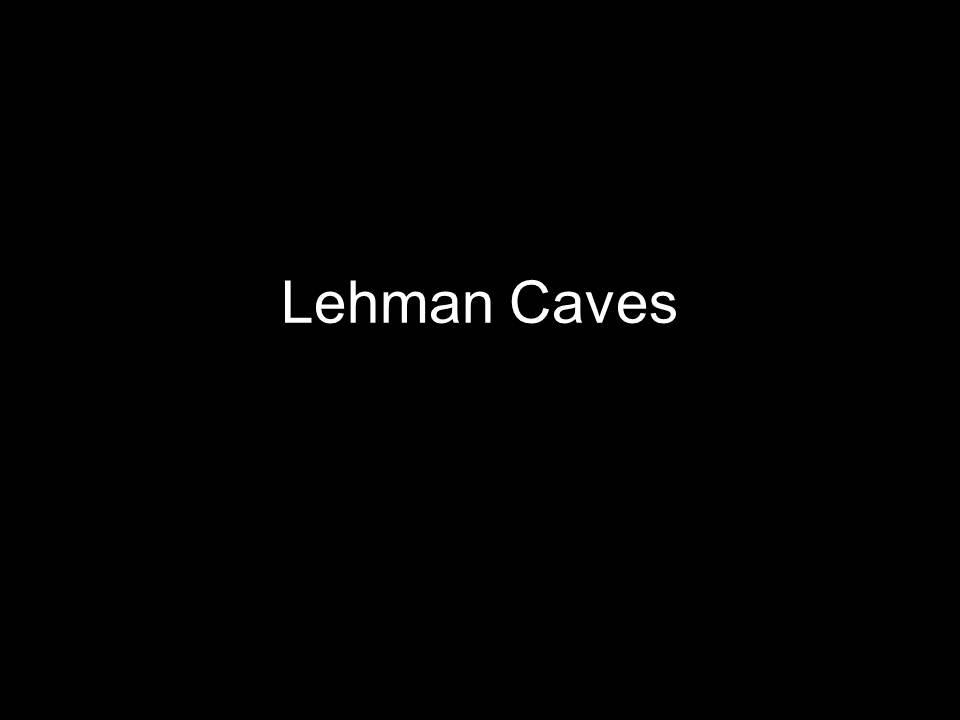 Lehman Caves lies within Great Basin National Park.  It is know for its high concentration of formations especially shields.