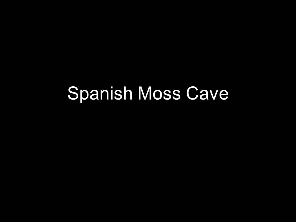 Spanish Moss Cave is another well visited classic - Big passage, formations, and anthodites.  The cave was named by Earl Peterson after a trip down south with Spanish Moss hanging from the trees reminding him of the roots that used to hag all around inside of the entrance to the cave