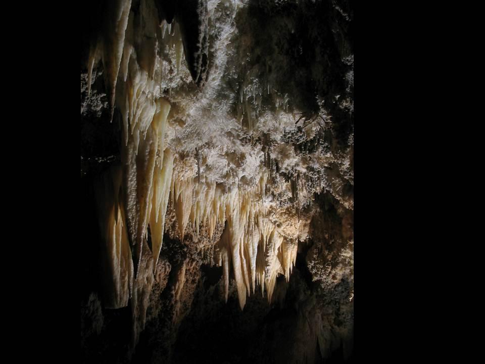 Draperies in Spanish Moss Cave.  Brandon Kowallis photo