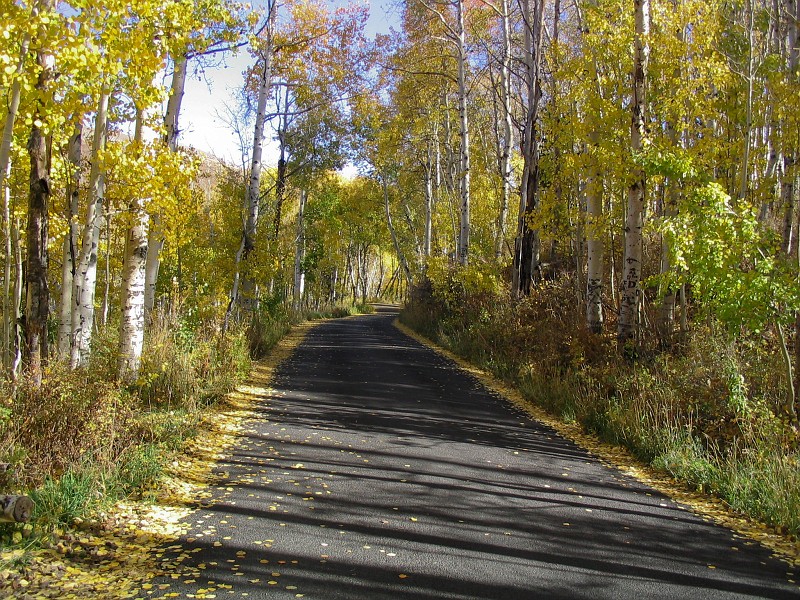 Fall day drive in the American Fork Loop