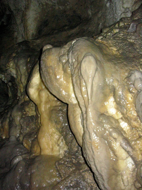 The St Bernard Dog Formation near the Timpanogos Cave entrance.