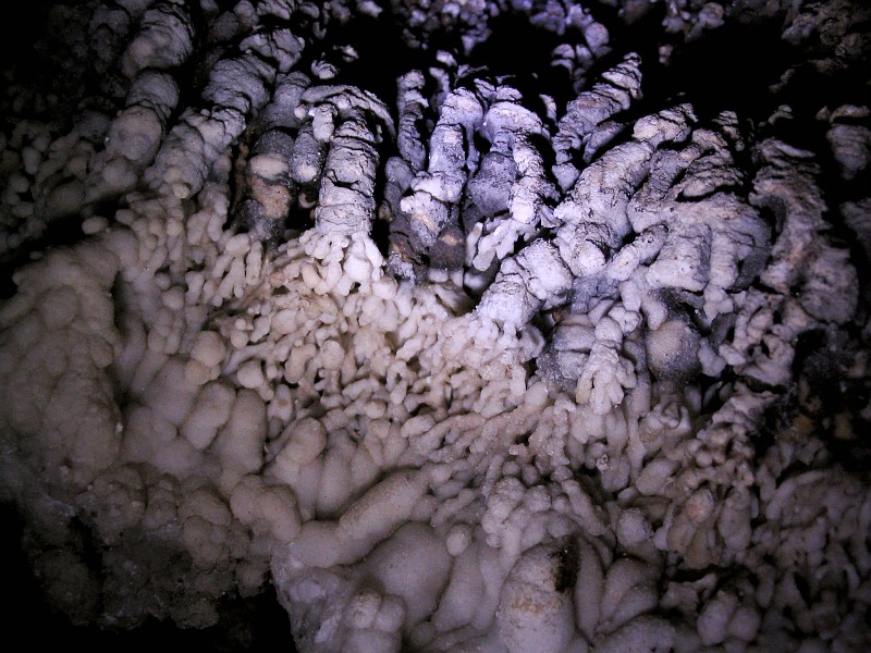 Closeup of the velcro tubes in Timpanogos Cave.