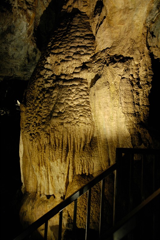 The Organ Pipe in the entrance of Hansen Cave.