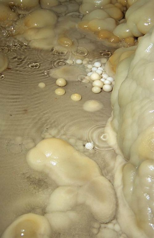 Cave pearls in a pool in Main Drain Cave