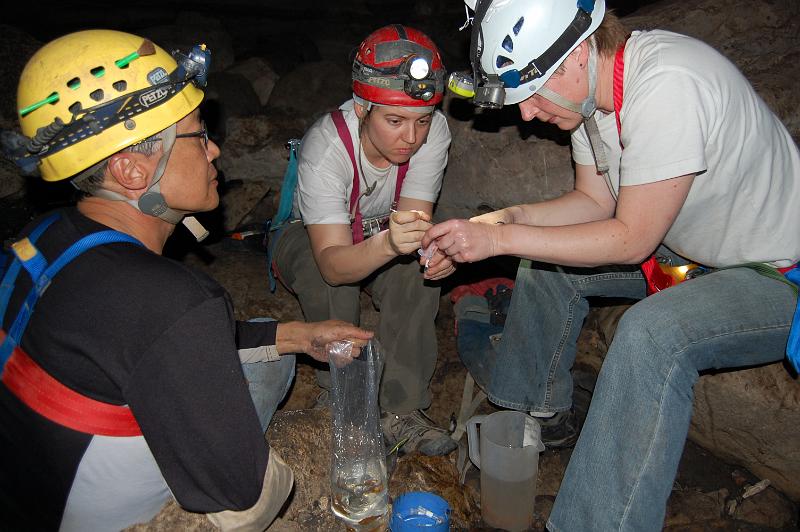Dan, Megan, and Katherina processing the cave fish in Sotano de Piedras