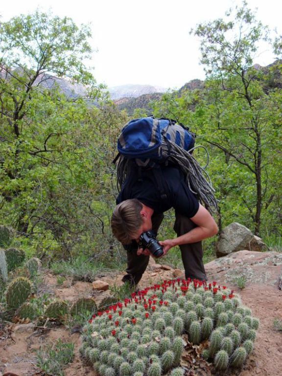 Jon Jasper photographing cactus cluster. Photo by Kyle Voyles.