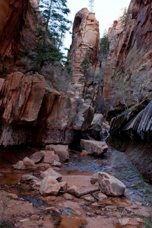 The entrance the narrows of Water Canyon