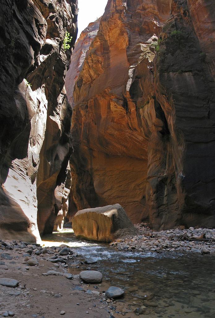 A series shot of Andrew rappeling into the Zion Narrows from Imlay Canyon.