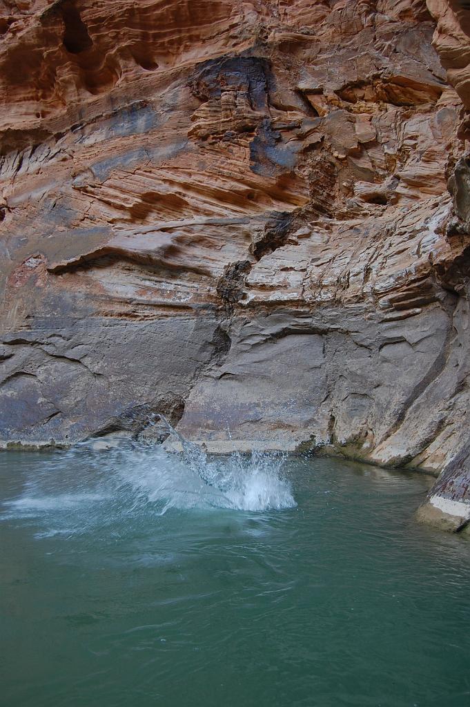 Tim Barnhart cliff jumping in Zion Narrows
