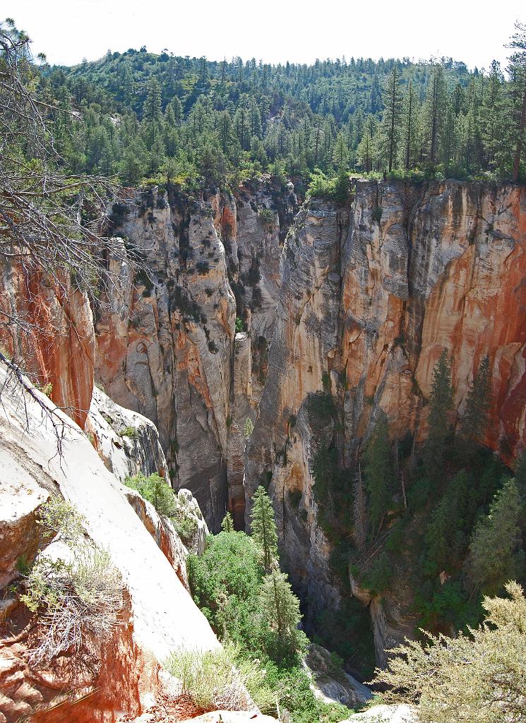 The view from the head of Oak Creek Canyon.