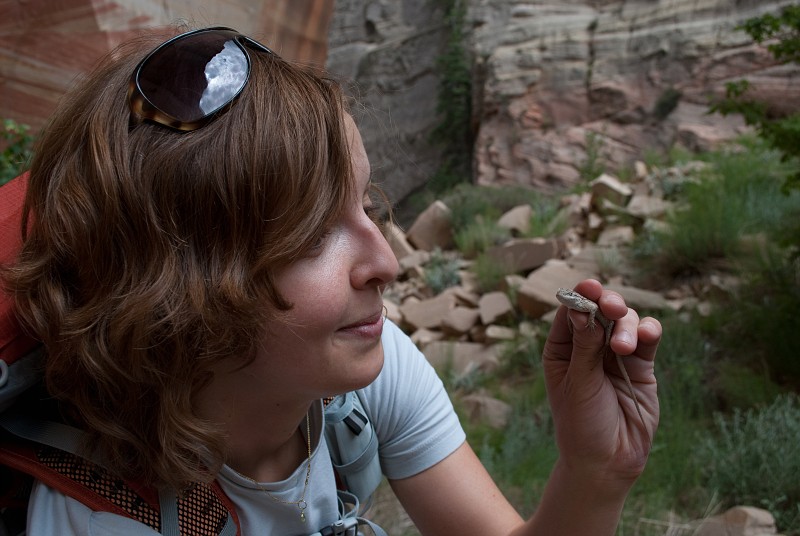 Janel Macy closely examing the Sagebrush lizard